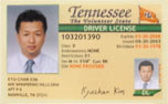 International Driver License Image