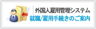 就業・雇用手続案内